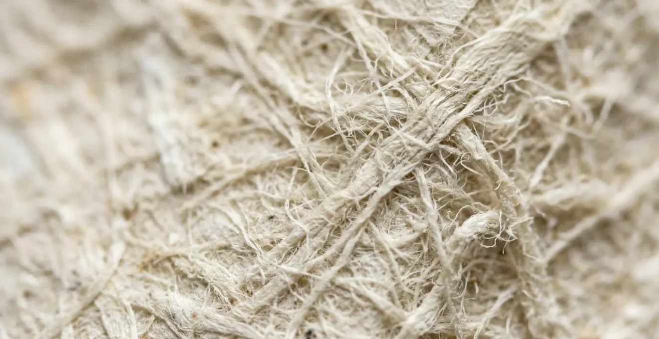 Détails macro de textures de papier administratif